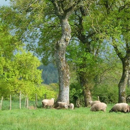 Maison De Campagne Ideale Pour Familles, Cavaliers, Animaux Acceptes, Avec Jardin Clos Et Tout Equipe. - Fr-1-489-172 Villa Barrais-Bussolles ภายนอก รูปภาพ